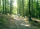 CIMG0015