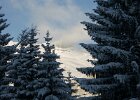 PICT0044