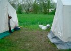 jagst200583