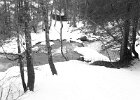IMG 1864
