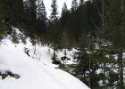 IMG 1868