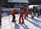 IMG 4607