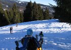 IMG 4650
