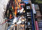 IMG 4661