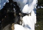 IMG 4663