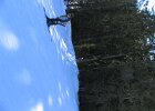 IMG 4668