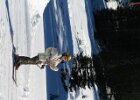 IMG 4677