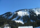 IMG 4689