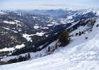 DSC00731