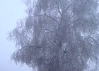 DSC00505
