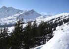 DSC03324