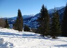 DSC01537