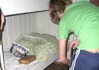 CIMG0459
