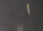IMG 5371