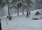 IMG 5547