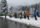 IMG 5555