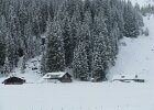IMG 5566