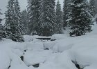 IMG 5567