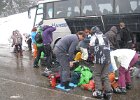 IMG 5591