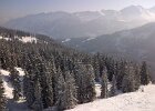 IMG-20120212-00175