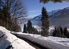 IMG-20130302-01399