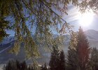 Mittelberg-20130302-01405