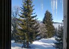Foto0354