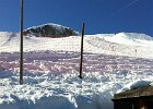 IMG 0733