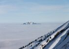IMG 2972 (2)