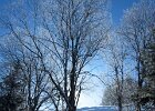 IMG 1153