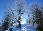 IMG 1156
