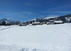 IMG 1159