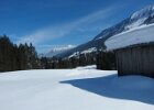 IMG 1161