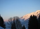 IMG 1198