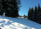 IMG 2732