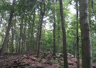 2015-09 Mountainbiking