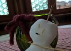 WP 20160131 09 01 17 Pro