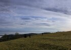 DSC 7310-Bearbeitet-3