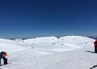 IMG 0079