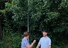 IMG 8251