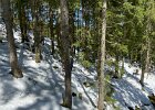 IMG 4351