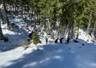 IMG 4353