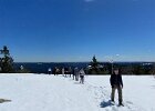 IMG 4356