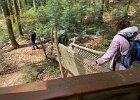 IMG 4453