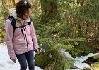 IMG 4454