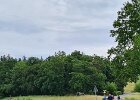 63ca3440-a0c3-4139-b630-95115571b7f8